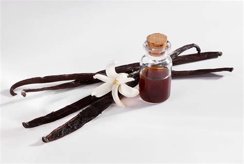 How Vanilla Conquered The World Food Chemistry Science Meets Food