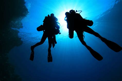 Scuba Diving 101 How To Adapt To Different Diving Environments