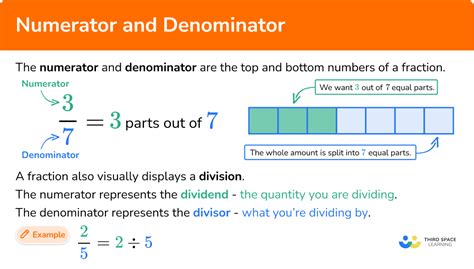 Numerator And Denominator Gcse Maths Steps And Examples