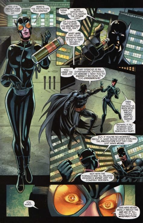 Catwoman Vol 4 29 Pg 19 By Pat Olliffe In Stephen Bs Dcs Catwoman