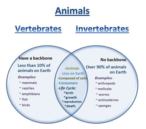 Vertebrates And Invertebrates المرسال