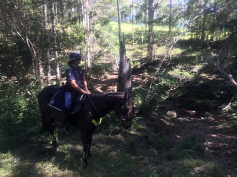 Mounted Police Assist With Searches Mounted Police