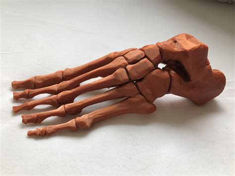3d Printable Skeletal Foot By Annalize Butler