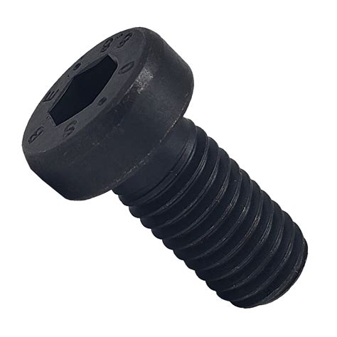 Low Head Socket Head Cap Screw