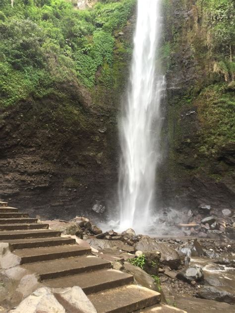 A turtle has a flat, streamlined shell and limbs that are quite similar to a tortoise's, but the turtle's feet are webbed and have long claws which provide a good grip upon floating logs and help the reptile climb onto riverbanks. Pin by borhanudin on River stream lake ponds ocean water ...