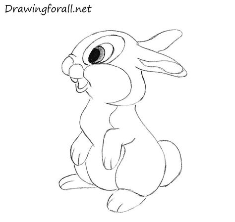 22 How To Draw A Bunny Rabbit Png Shiyuyem