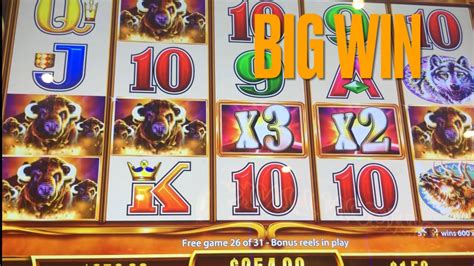 Buffalo Gold Revolution Slot Machine Big Win Bonus Cheers 🍻 Youtube
