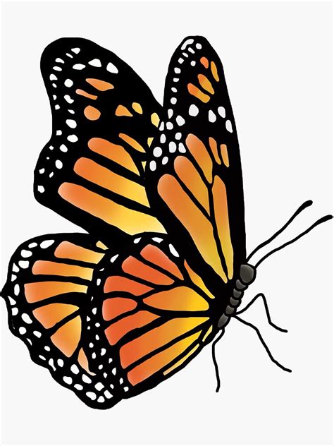 Butterfly Sticker For Sale By Bohemiandesignz Redbubble