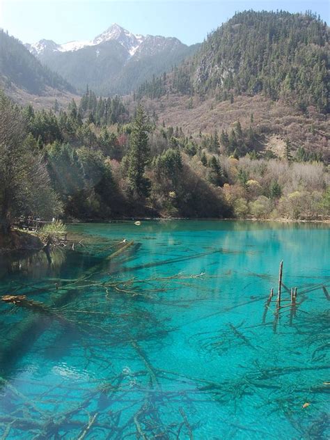 El Lago De Las Cinco Flores En China