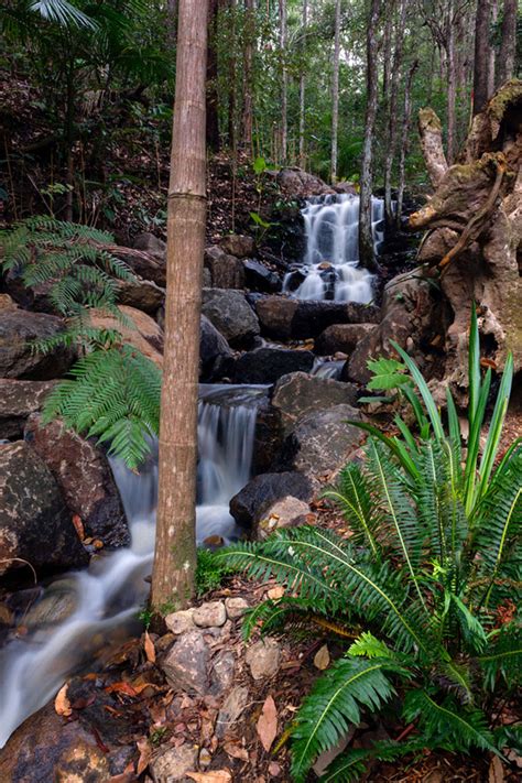 Pondless Waterfall Murwillumbah Waterscapes Australia