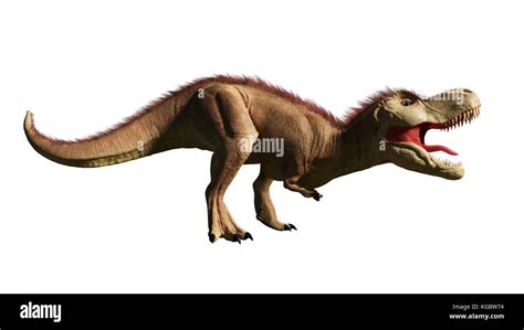 Tyrannosaurus Rex T Rex Dinosaurier Aus Der Kreidezeit 3d Render Auf