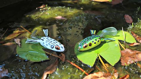 Fishing New Topwater Frogs Youtube