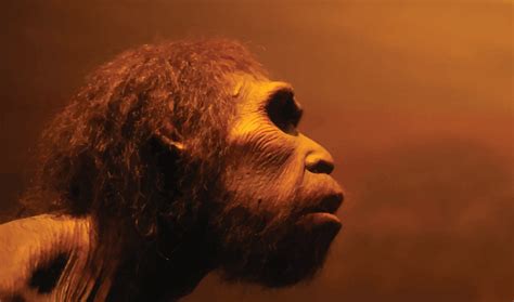 Neanderthal Dna Unearthed From Dirt Inside Science