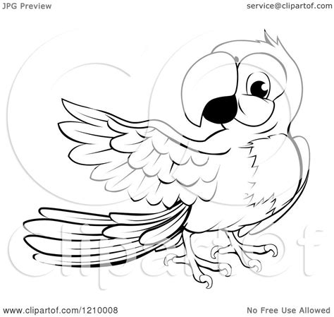 Cartoon Of A Black And White Presenting Macaw Parrot Royalty Free