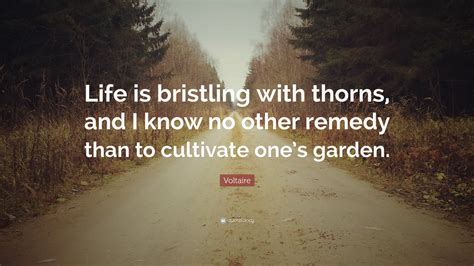Voltaire Quote Life Is Bristling With Thorns And I Know