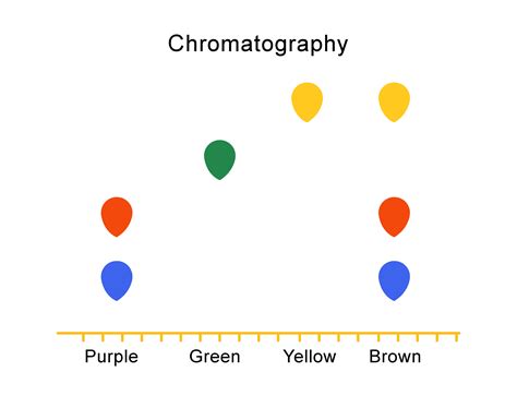 Learn About Chromatography Worksheet Edplace