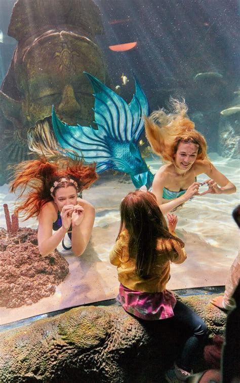 A Magical Real Life Mermaid Show Is Coming To Sea Life