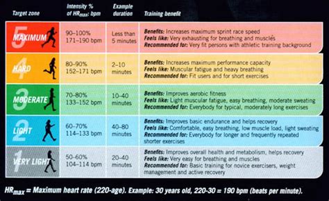 29 How To Run In Heart Rate Zones Png Student Diagram Resources