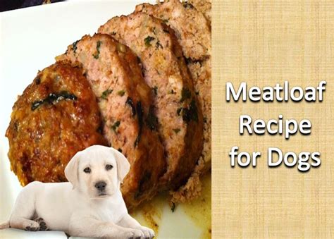 Meatloaf Recipe For Dogs Healthy Dog Food Recipes Dog Recipes Dog