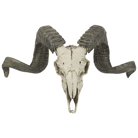 Design Toscano Corsican Ram Skull And Horns Trophy Wall Décor And Reviews