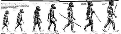 Evolution Frauds Evolution Is Not Science