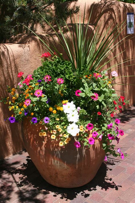 Full Sun Taos Pot Gardening Container Pinterest