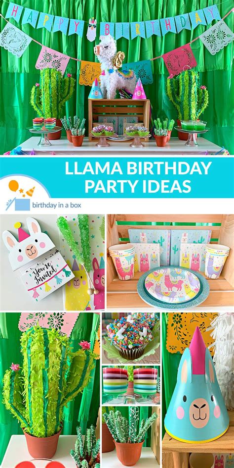 Llama Birthday Party Ideas Artofit