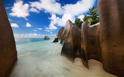 Landscape Nature Tropical Beach White Sand Sea Palm Trees Island Summer Bungalow Seychelles