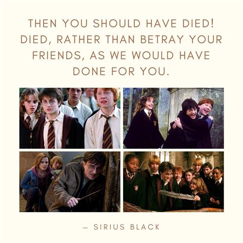 Harry Potter Friendship Quotes 8 QuoteReel