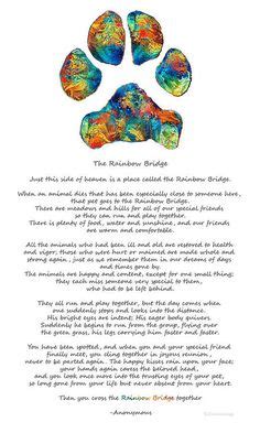 After hours of crying for the loss of my pet , i found this poem, i also had a song that made me think of how i felt, i have combined the 2 and this is the. rainbow bridge pet poem printable - Google Search ...