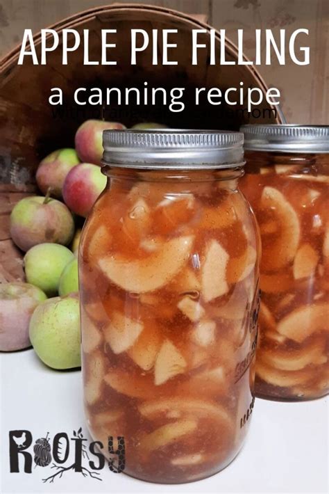 Canned Apple Pie Filling Artofit