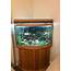 Corner Fish Tank 50 Gallon For Sale In Tampa FL  OfferUp