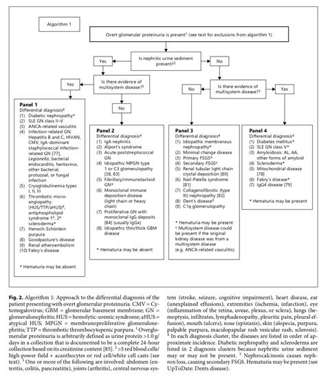 Algorithm Approach To The Differential Diagnosis