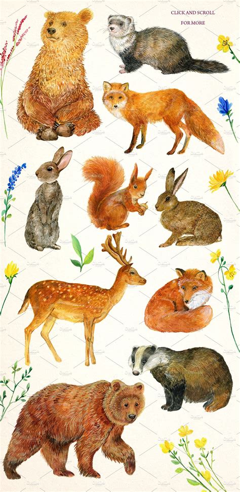Forest Animals Watercolor Animal Clipart Animal Portraits