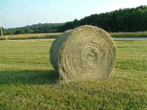 2022 Hay Directory Updated 12522 North Carolina Cooperative Extension