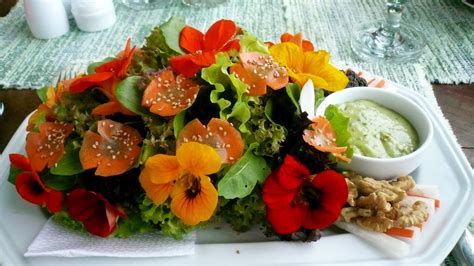 Food From Flowers Wallpapers High Quality Download Free