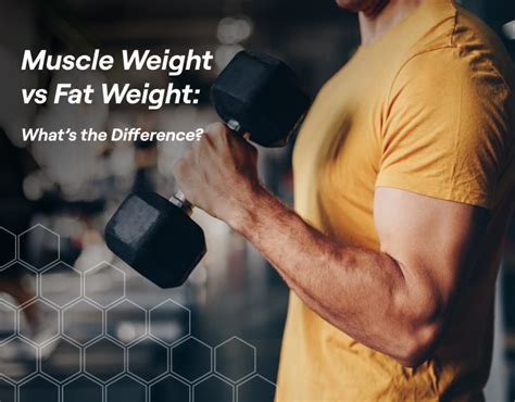 Muscle Weight Vs Fat Weight Whats The Difference Fitbod The