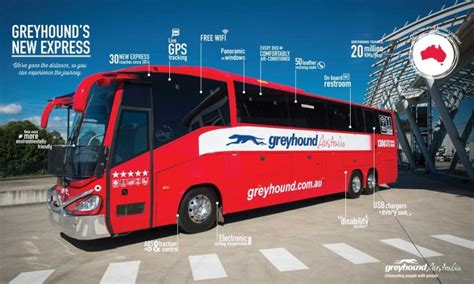 Whimit Greyhound Buspas Backpacken In Australië Oak Travel