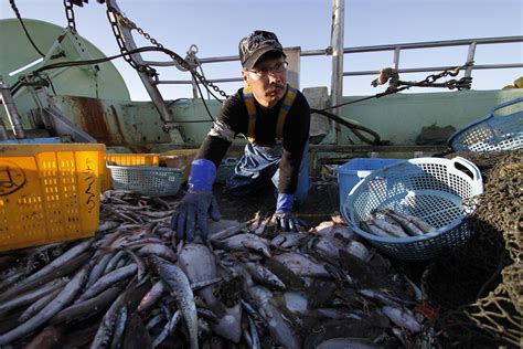South Korea Bans Fish Imports From Japan Coast Affected By Leaking