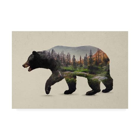 Trademark Fine Art The North American Black Bear Canvas Art By Davies