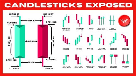 Learn How To Read Forex Candlestick Charts Like A Pro