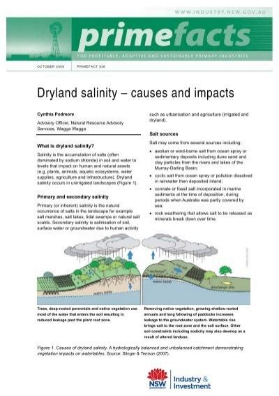 Dryland Salinity Causes And Impacts Nsw Department Of Primary