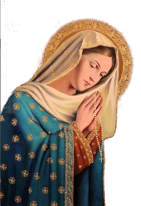 Virgen María Ruega Por Nosotros Las Palabras De La Virgen MarÍa
