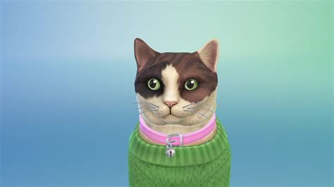 The Sims 4 Cats And Dogs Already Available Page 5 Answer Hq