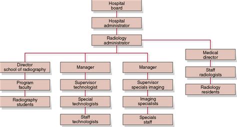 Diagram Of Hospital Organizational Structure Hanenhuusholli