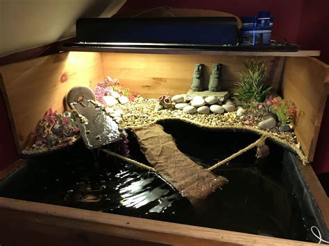 Turtle Basking Area Turtle Pond Box Turtle Turtle Tank Ideas Diy