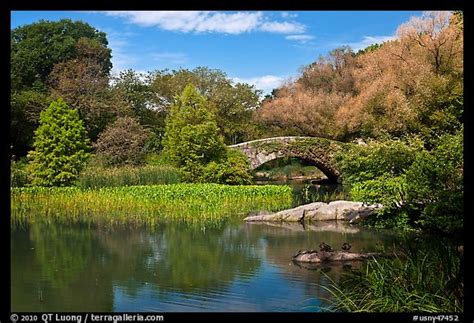 We did not find results for: Picture/Photo: Pond and stone bridge, Central Park. NYC ...