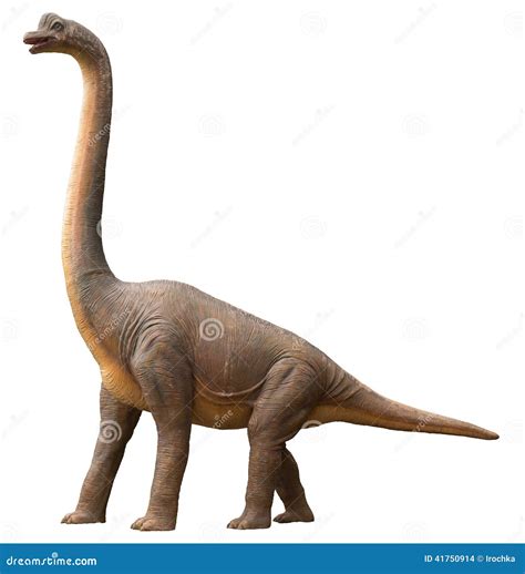 Sauropod Dinosaur Stock Photo Image 41750914