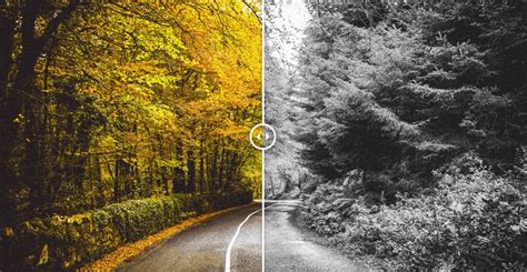 How To Show Before And After Images With Slider Effect In Wordpress