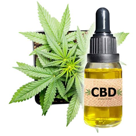 Vytalyze cbd oil on the off chance that you're endeavoring to help your prosperity, you ought to understand that we will you about another upgrade called vytalyze cbd oil. How Can CBD Oil Help You Out? | My Chill Thoughts